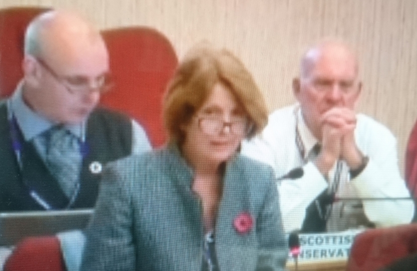 Councillor Isabelle MacKenzie speaking in the Council Chamber, October 2018